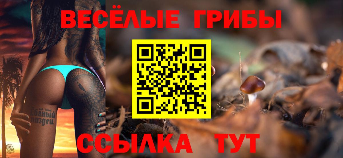 Галлюциногенные грибы MAGIC MUSHROOMS Сыктывкар